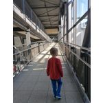 Zdjęcia użytkowników Huawei P30 Lite