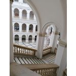 Zdjęcia użytkowników Huawei P30 Lite