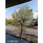Zdjęcia użytkowników Huawei P30 Lite