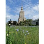 Zdjęcia użytkowników Huawei P30 Lite