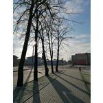 Zdjęcia użytkowników Huawei P30 Lite