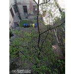 Zdjęcia użytkowników Huawei P30 Lite