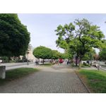 Zdjęcia użytkowników Huawei P30 Lite