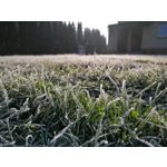 Zdjęcia użytkowników Huawei P30 Lite
