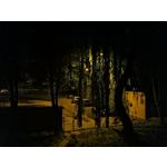 Zdjęcia użytkowników Huawei P30 Lite