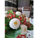 Zdjęcia użytkowników Huawei P30 Lite