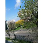 Zdjęcia użytkowników Huawei P30 Lite