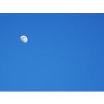 Zdjęcia użytkowników Huawei P30 Pro