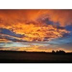 Zdjęcia użytkowników Huawei P30 Pro