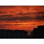 Zdjęcia użytkowników Huawei P30 Pro