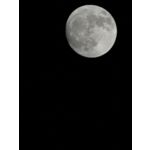 Zdjęcia użytkowników Huawei P30 Pro