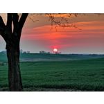 Zdjęcia użytkowników Huawei P30 Pro