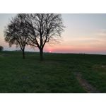 Zdjęcia użytkowników Huawei P30 Pro