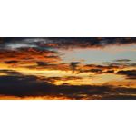 Zdjęcia użytkowników Huawei P30 Pro