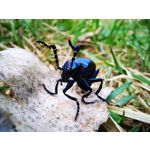 Zdjęcia użytkowników Huawei P30 Pro