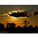 Zdjęcia użytkowników Huawei P30 Pro