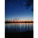 Zdjęcia użytkowników Huawei P30