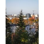 Zdjęcia użytkowników Huawei P30