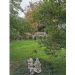 Zdjęcia użytkowników Huawei P30