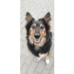 Zdjęcia użytkowników Huawei P30