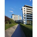 Zdjęcia użytkowników Huawei P30