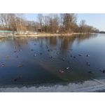 Zdjęcia użytkowników Huawei P40 Lite Zdjęcia użytkowników Huawei P40 Lite