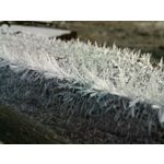 Zdjęcia użytkowników Huawei P40 Lite Zdjęcia użytkowników Huawei P40 Lite