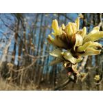 Zdjęcia użytkowników Huawei P40 Lite Zdjęcia użytkowników Huawei P40 Lite