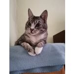 Zdjęcia użytkowników Huawei P40 Lite Zdjęcia użytkowników Huawei P40 Lite