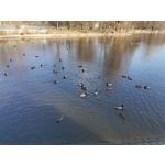 Zdjęcia użytkowników Huawei P40 Lite Zdjęcia użytkowników Huawei P40 Lite