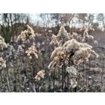 Zdjęcia użytkowników Huawei P40 Lite Zdjęcia użytkowników Huawei P40 Lite