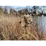 Zdjęcia użytkowników Huawei P40 Lite Zdjęcia użytkowników Huawei P40 Lite