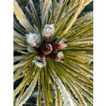 Zdjęcia użytkowników Huawei P40 Lite Zdjęcia użytkowników Huawei P40 Lite