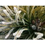 Zdjęcia użytkowników Huawei P40 Lite Zdjęcia użytkowników Huawei P40 Lite