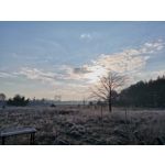 Zdjęcia użytkowników Huawei P40 Lite Zdjęcia użytkowników Huawei P40 Lite