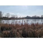 Zdjęcia użytkowników Huawei P40 Lite Zdjęcia użytkowników Huawei P40 Lite