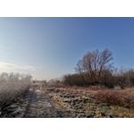 Zdjęcia użytkowników Huawei P40 Lite Zdjęcia użytkowników Huawei P40 Lite