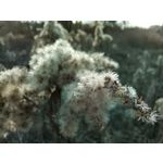 Zdjęcia użytkowników Huawei P40 Lite Zdjęcia użytkowników Huawei P40 Lite