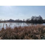 Zdjęcia użytkowników Huawei P40 Lite Zdjęcia użytkowników Huawei P40 Lite