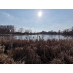 Zdjęcia użytkowników Huawei P40 Lite Zdjęcia użytkowników Huawei P40 Lite