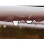 Zdjęcia użytkowników Huawei P40 Pro