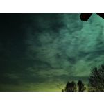 Zdjęcia użytkowników Huawei P40 Pro