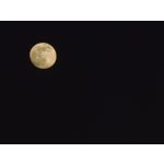 Zdjęcia użytkowników Huawei P40 Pro