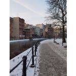 Zdjęcia użytkowników Huawei P40 Pro