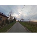 Zdjęcia użytkowników Huawei P40