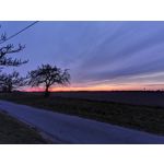 Zdjęcia użytkowników Huawei P40