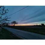 Zdjęcia użytkowników Huawei P40