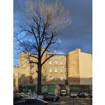 Zdjęcia użytkowników Huawei P50 Pocket Zdjęcia użytkowników Huawei P50 Pocket