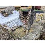 Zdjęcia użytkowników Huawei P50 Pocket Zdjęcia użytkowników Huawei P50 Pocket