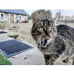 Zdjęcia użytkowników Huawei P50 Pocket Zdjęcia użytkowników Huawei P50 Pocket